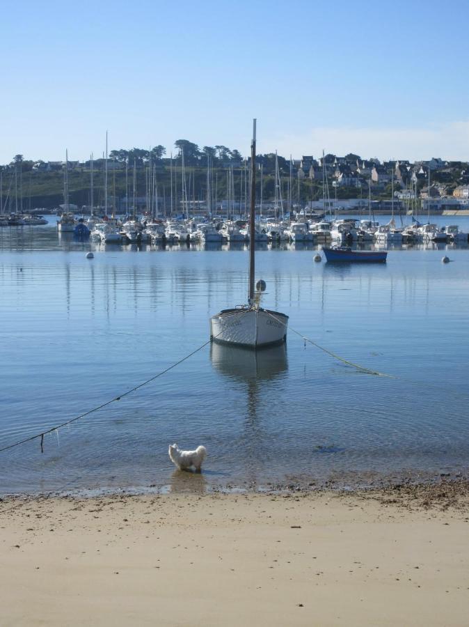 Appartements Tonton Jo Camaret-sur-Mer Exteriör bild